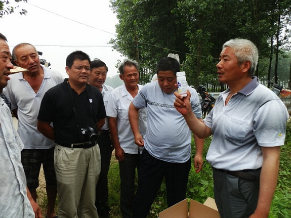 柳巷镇：防汛抗灾两不误2.jpg