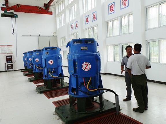 柳巷镇：防汛抗灾两不误 全力以赴保度汛8.jpg