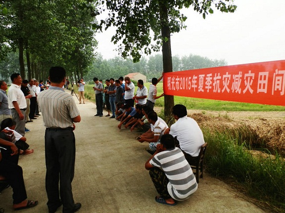 柳巷镇：防汛抗灾两不误 全力以赴保度汛10.jpg