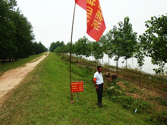 柳巷镇：防汛抗灾两不误 全力以赴保度汛13.jpg
