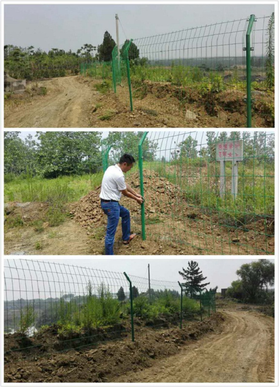 明西街道：废弃矿山加装“安全防护网”.jpg