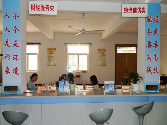 柳巷镇为民服务再强化1.JPG