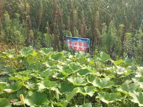 古沛镇开展防溺水安全工作检查.jpg