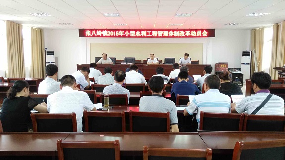 张八岭镇召开小型水利工程管理体制改革动员会.jpg