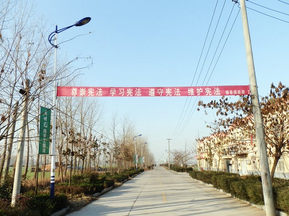 柳巷镇开展“12.4”国家宪法日法制宣传活动1.jpg