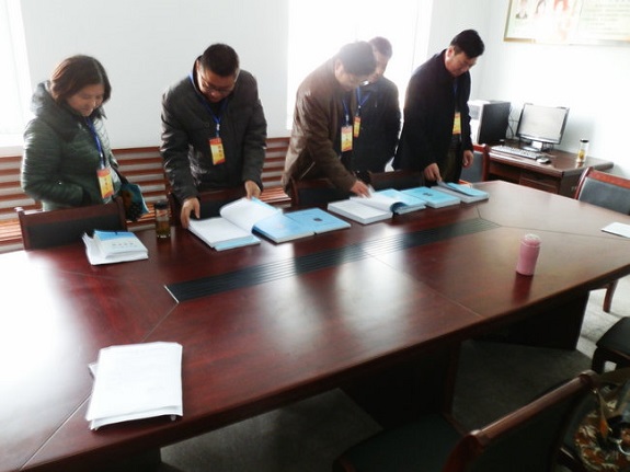 柳巷镇组织人大代表视察依法行政工作1.jpg