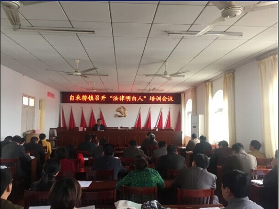 自来桥镇召开法律明白人培训会.jpg