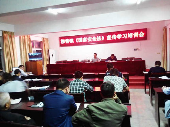 柳巷镇多措并举开展国家安全教育宣传1.jpg