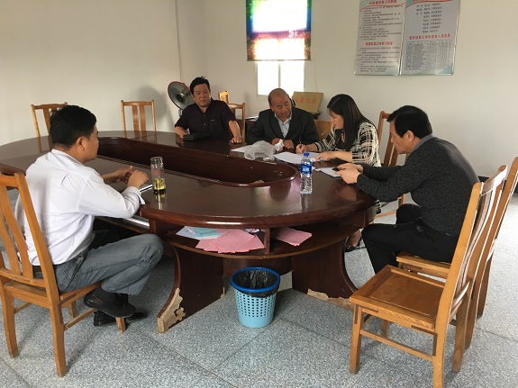 明光市司法局、民政局领导来潘村镇复核审查“民主法治示范村（社区）”工作.JPG