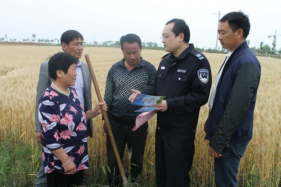 明光市司法局打造秸杆禁烧“防火墙”.jpg