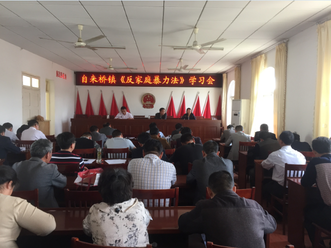 自来桥镇开展反家庭暴力法学习.png